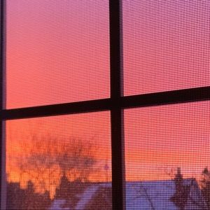 Meet your Posher, Ellen